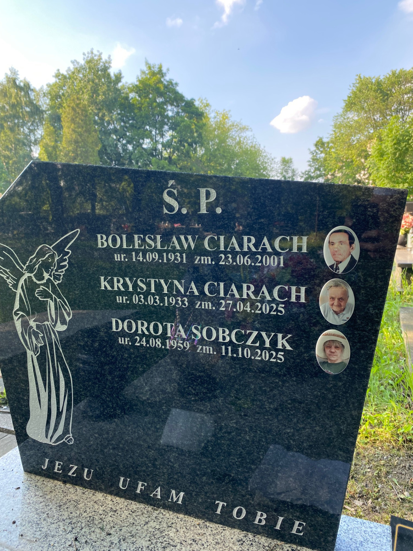 projekt, grafika, napisy, medaliony porcelana